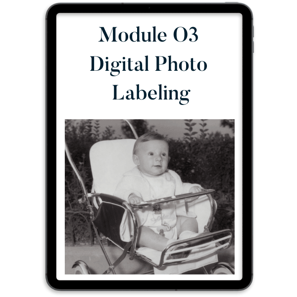 Module 3 Icon