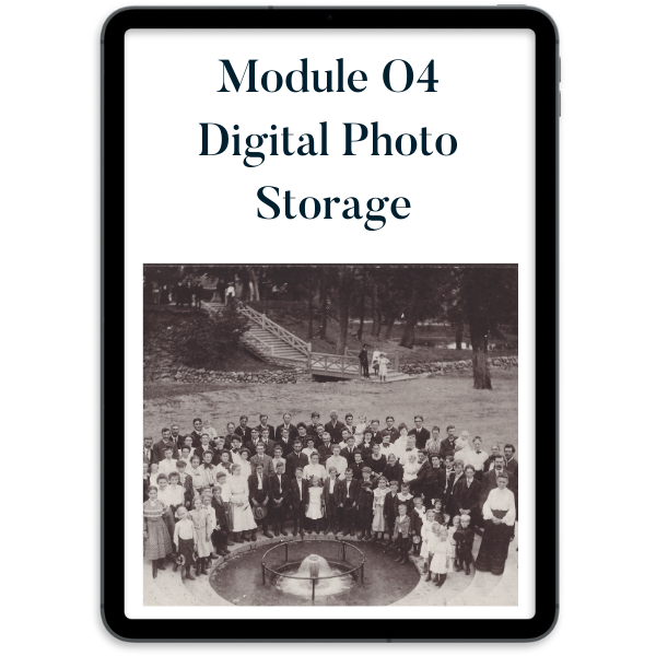 Module 4 Icon